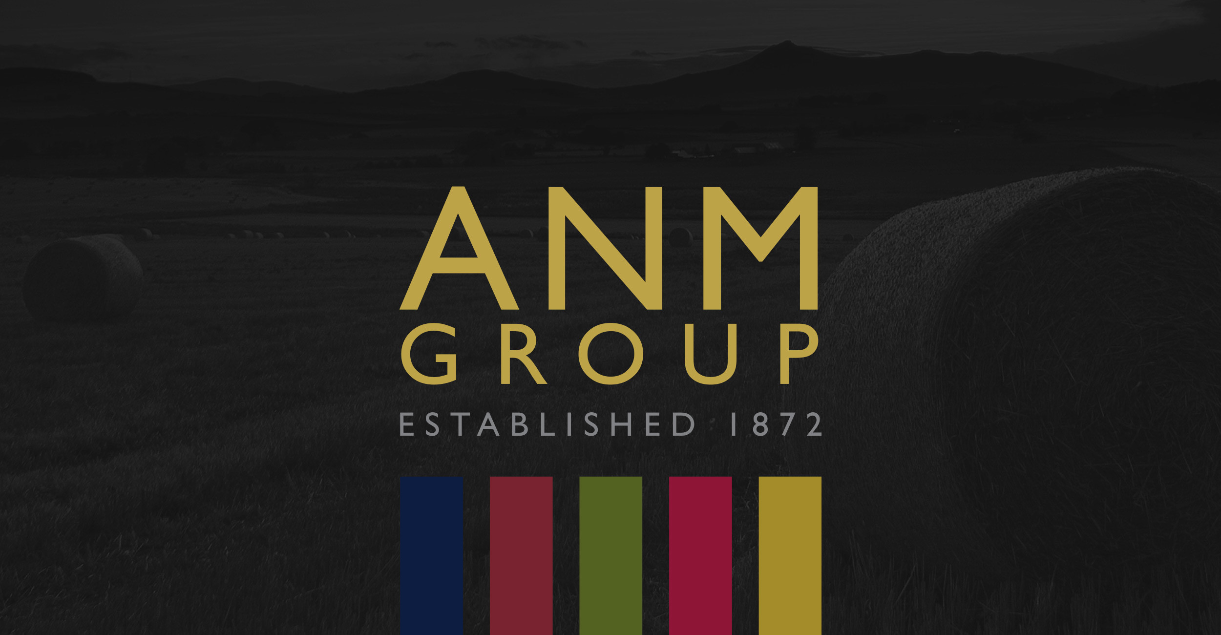 ANM Group